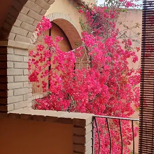 P.piano - Centro Paese Casa vacanze Villasimius